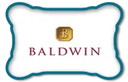 logo-image logo-image - brands-logo-baldwin